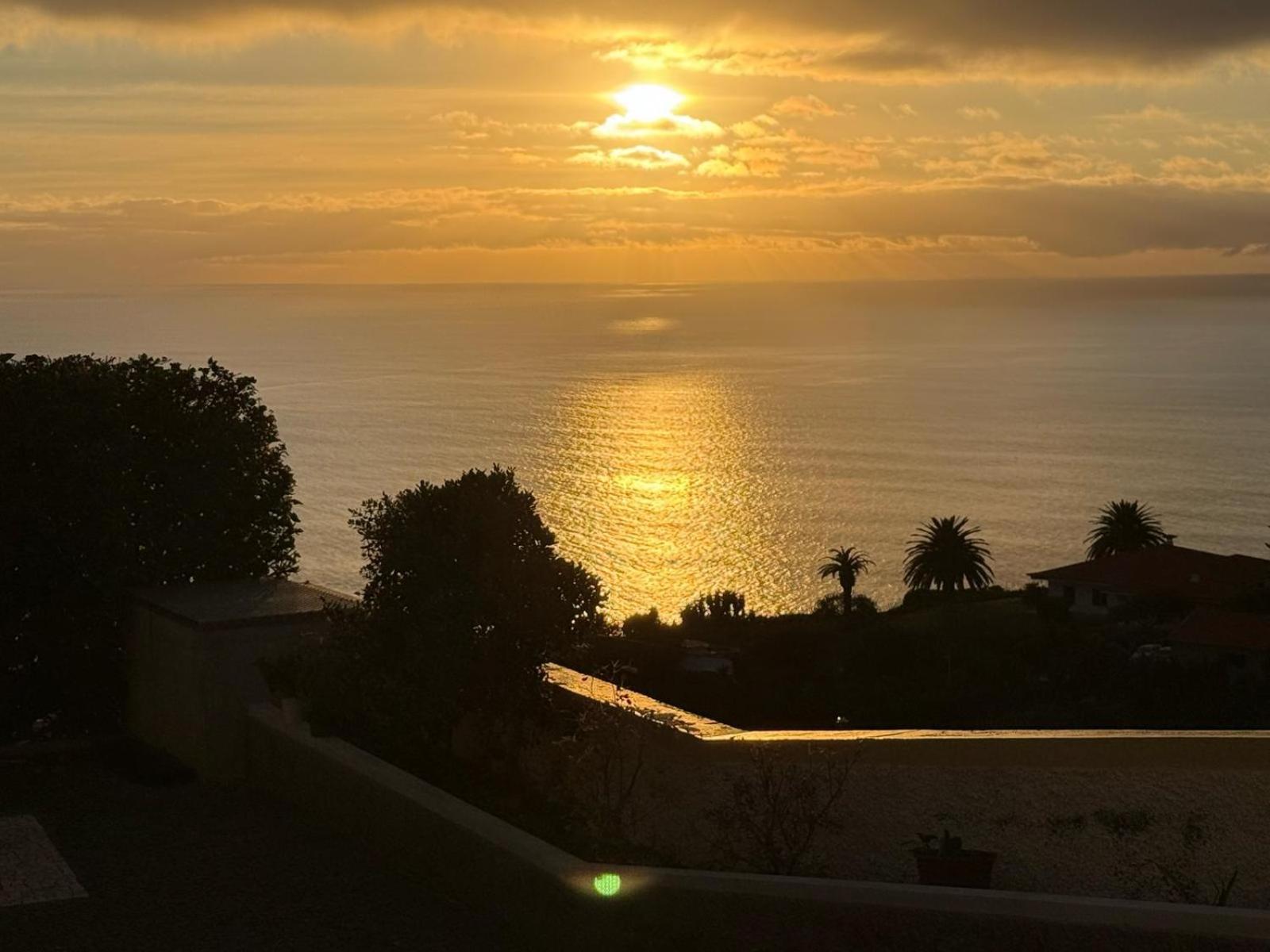 Magnolia Sunsets * Calheta (Madeira)
