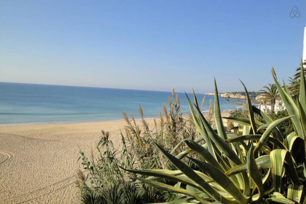Apartamento Casa Dos Peixes E Mar