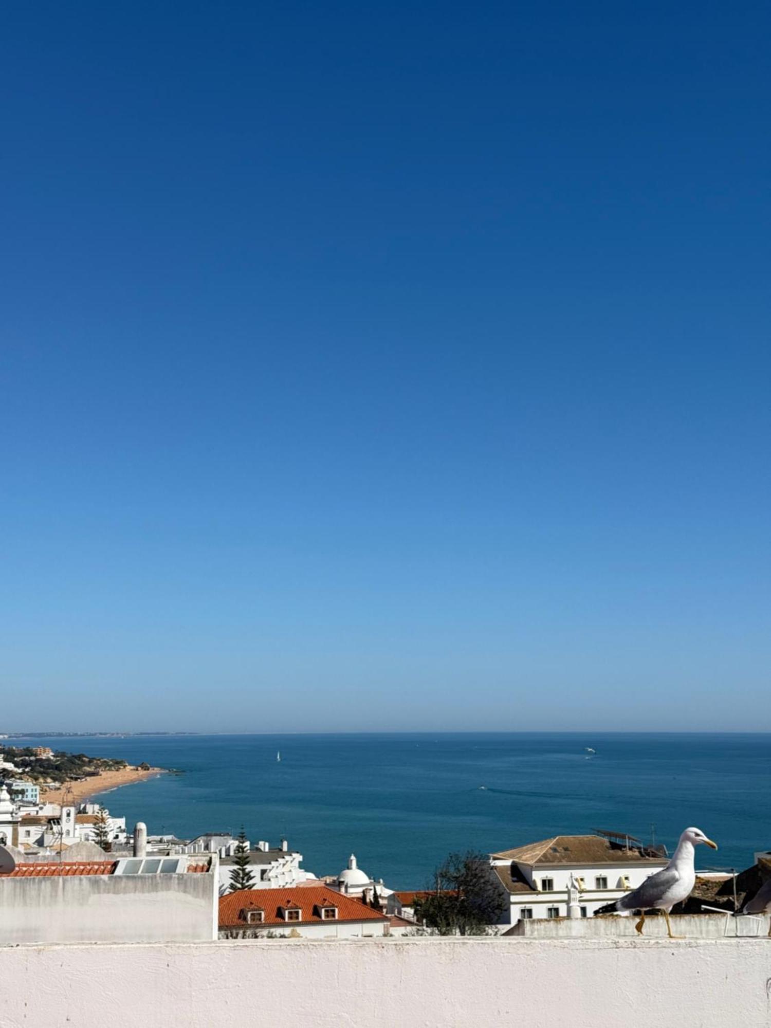 Apartment Olimar Sea View *