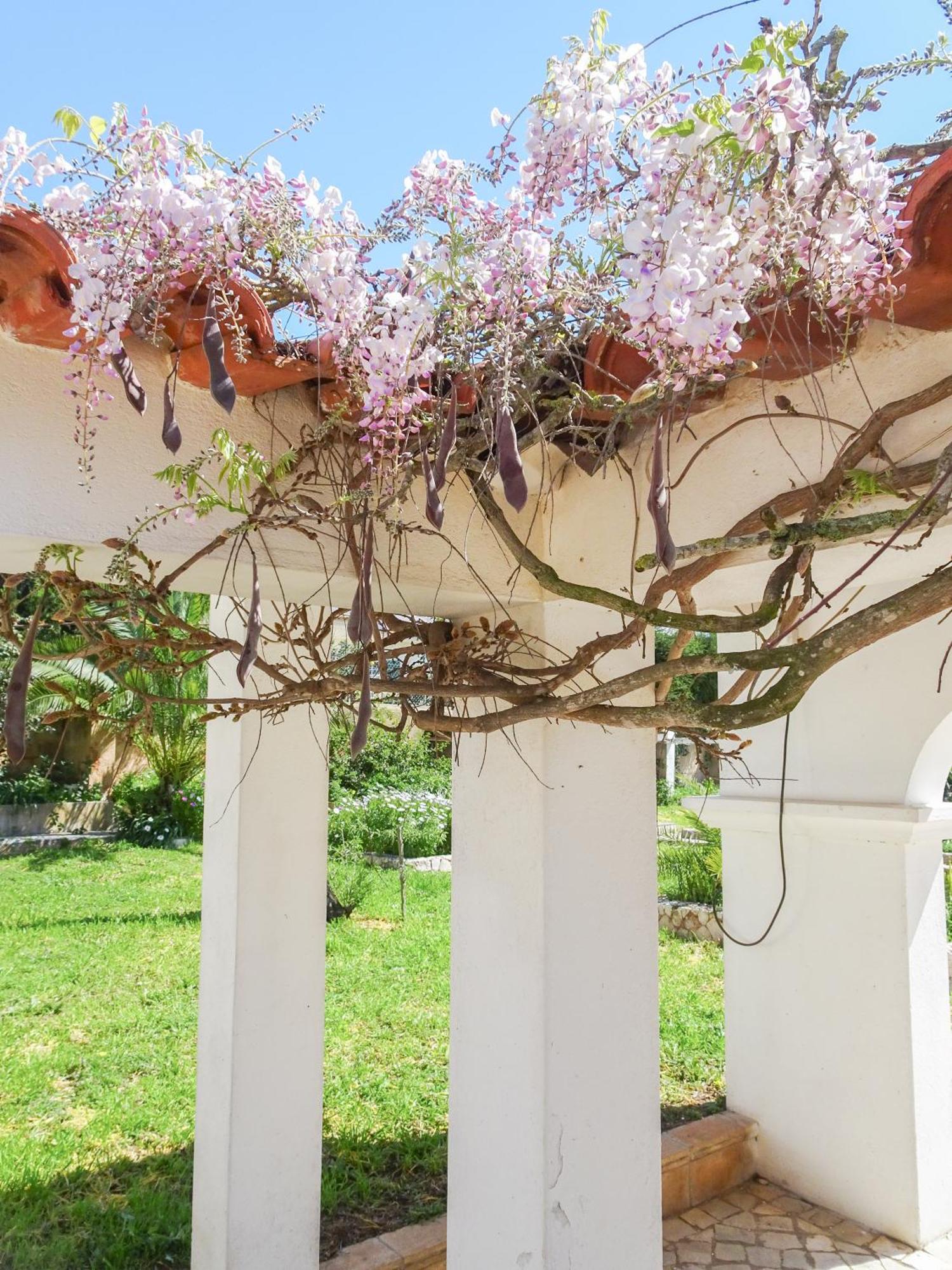 Quinta De Lagos