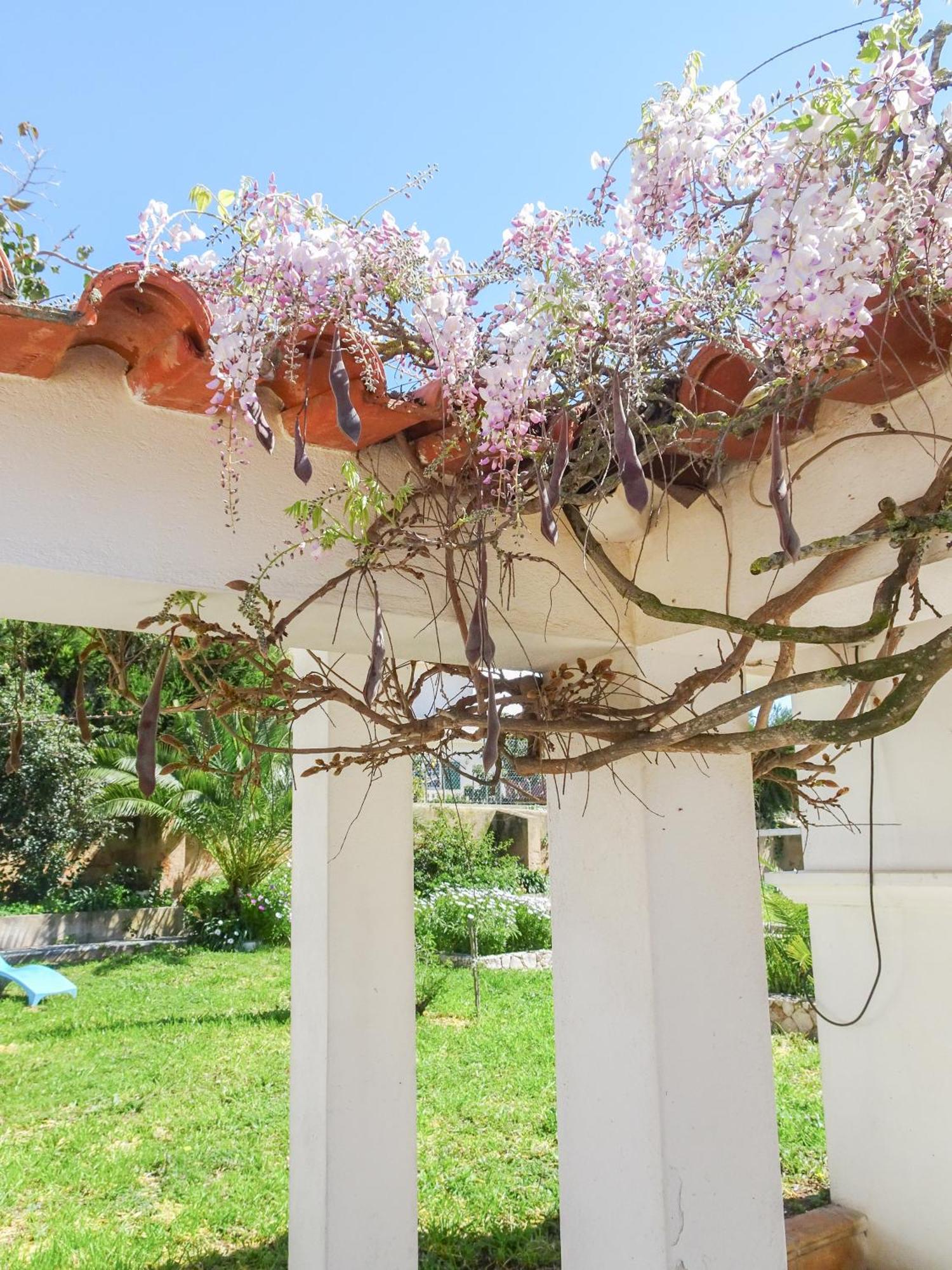 Quinta De * Lagos