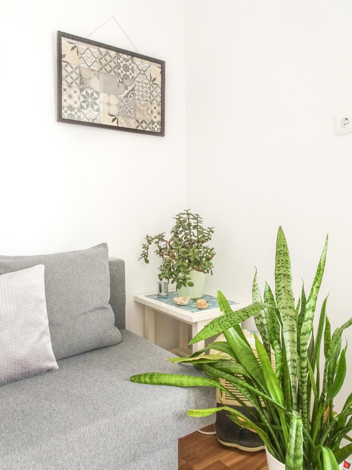 Quinta De Apartment