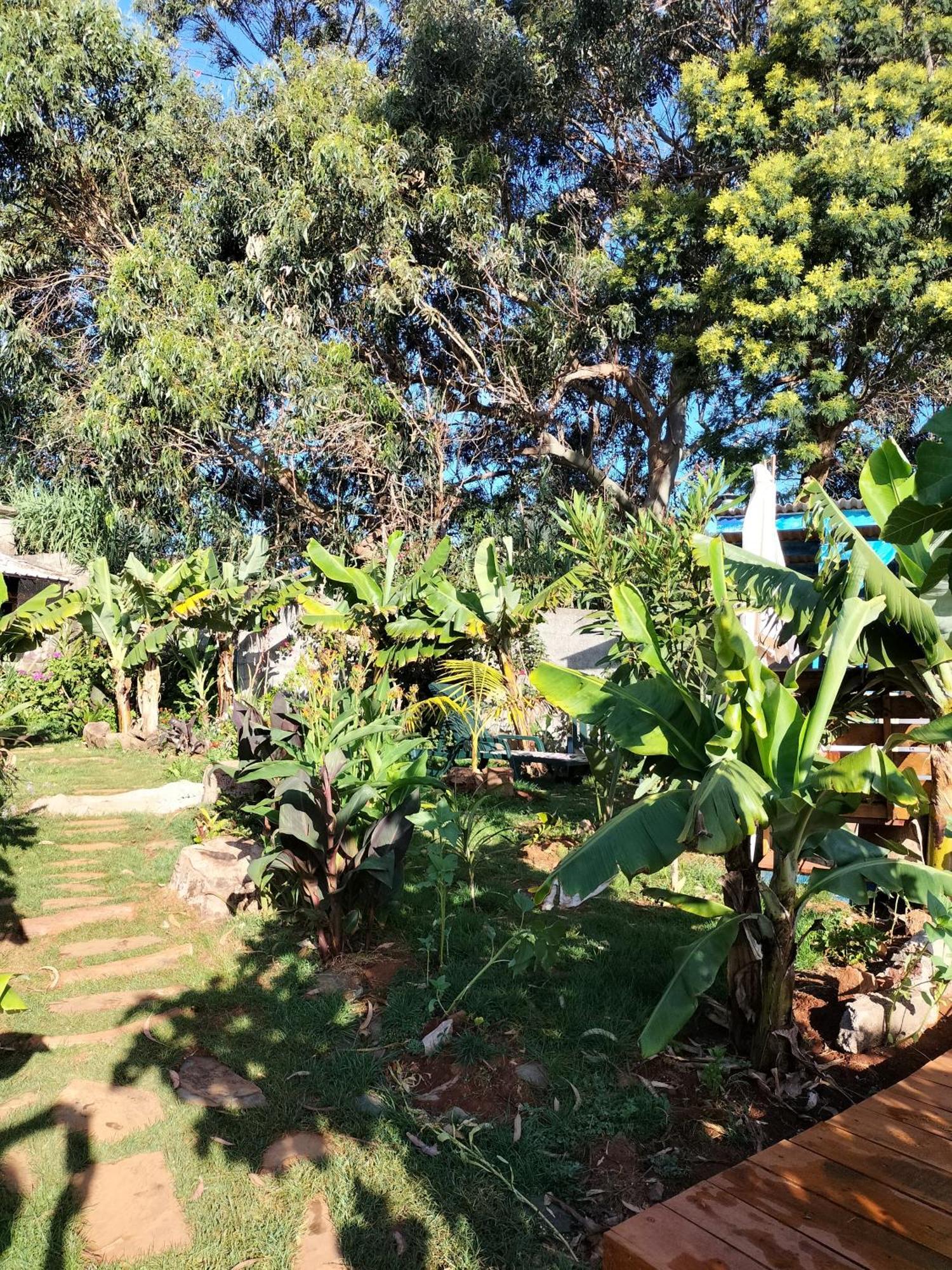 Casa Da Madeira Apartment