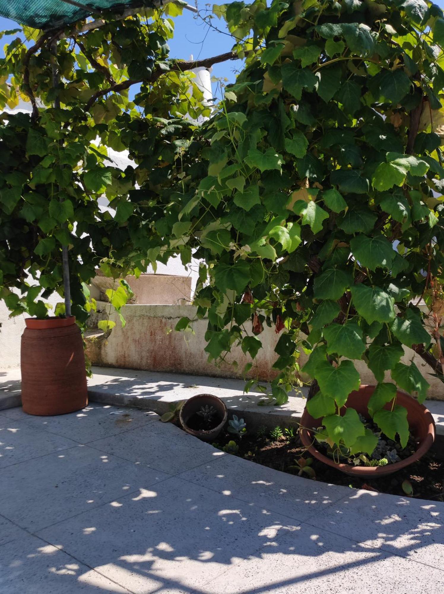 Armazens Do Beco - Cacau, Pimenta E Sal Santa Cruz da Graciosa