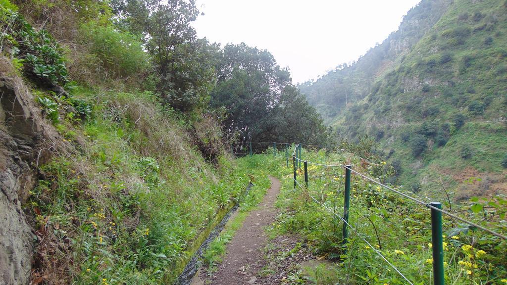 Holiday home Levada Nova House Ponta do Sol (Madeira)