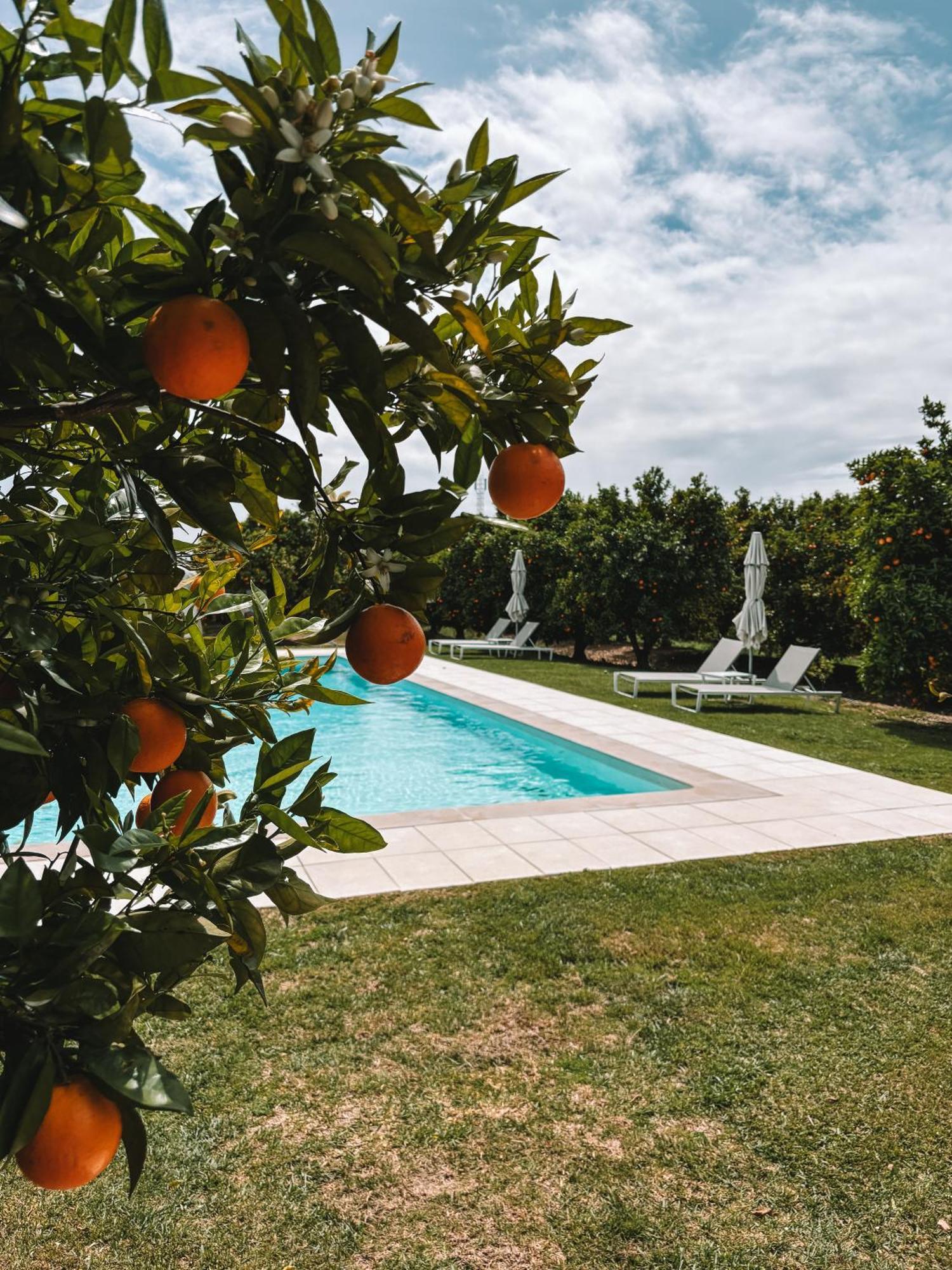 Agroturismo Quinta Dos Perfumes Tavira