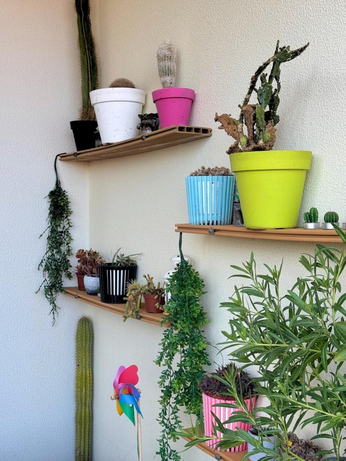 Cantinho Da Flor Appartement *