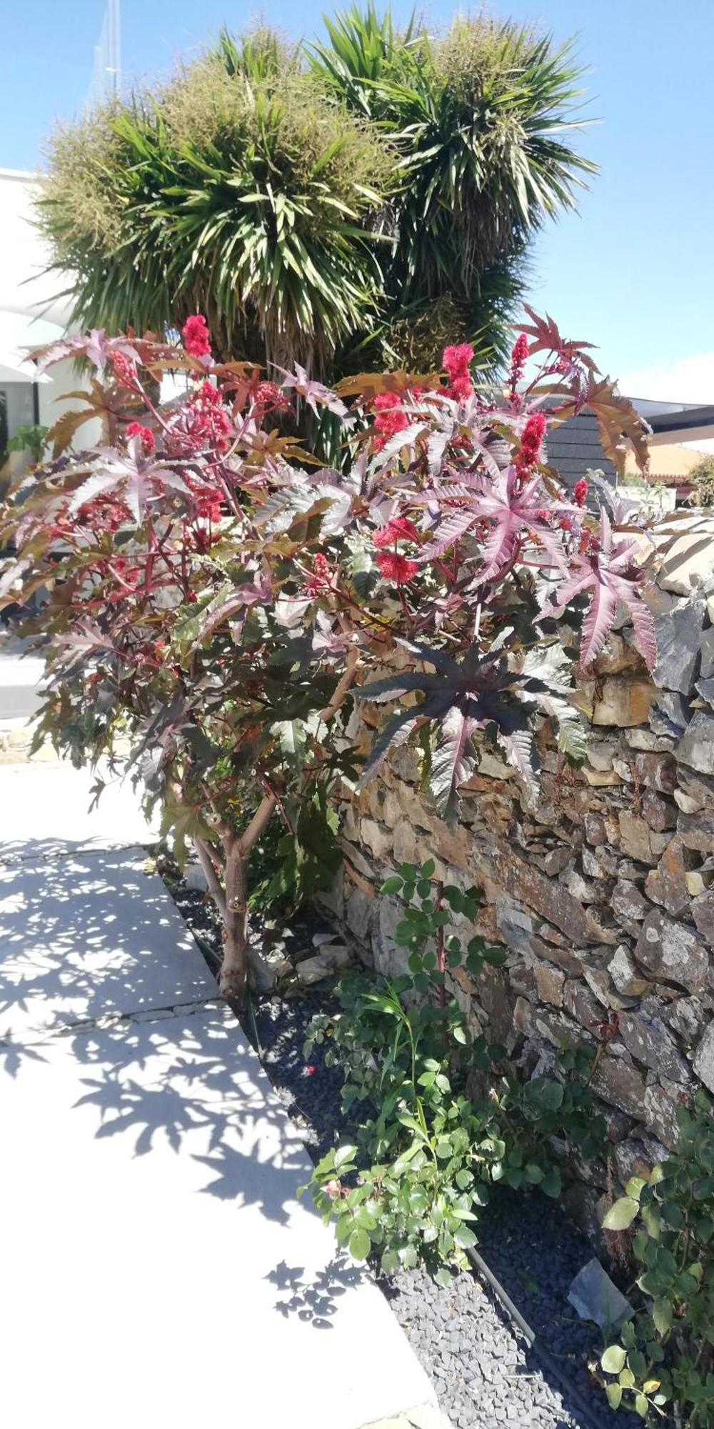 Cantinho D'avo - Apulia Areia (Porto)