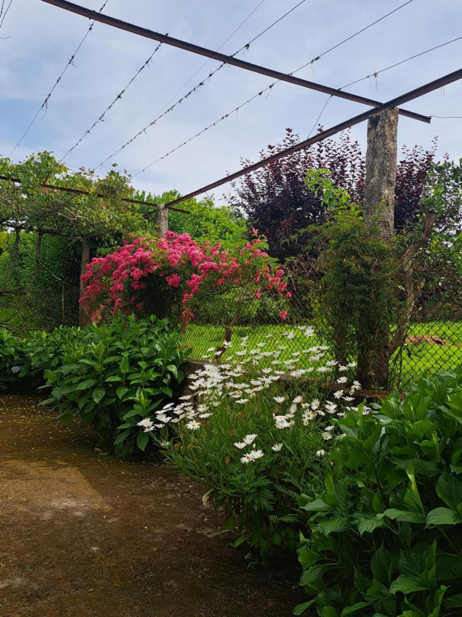 Quinta Do Vale Do Monte Chácara Viana do Castelo