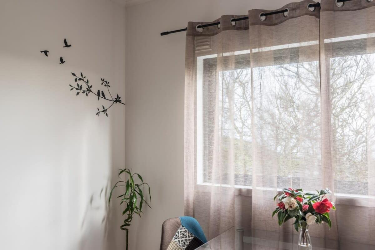Apartment Smooth T3 *