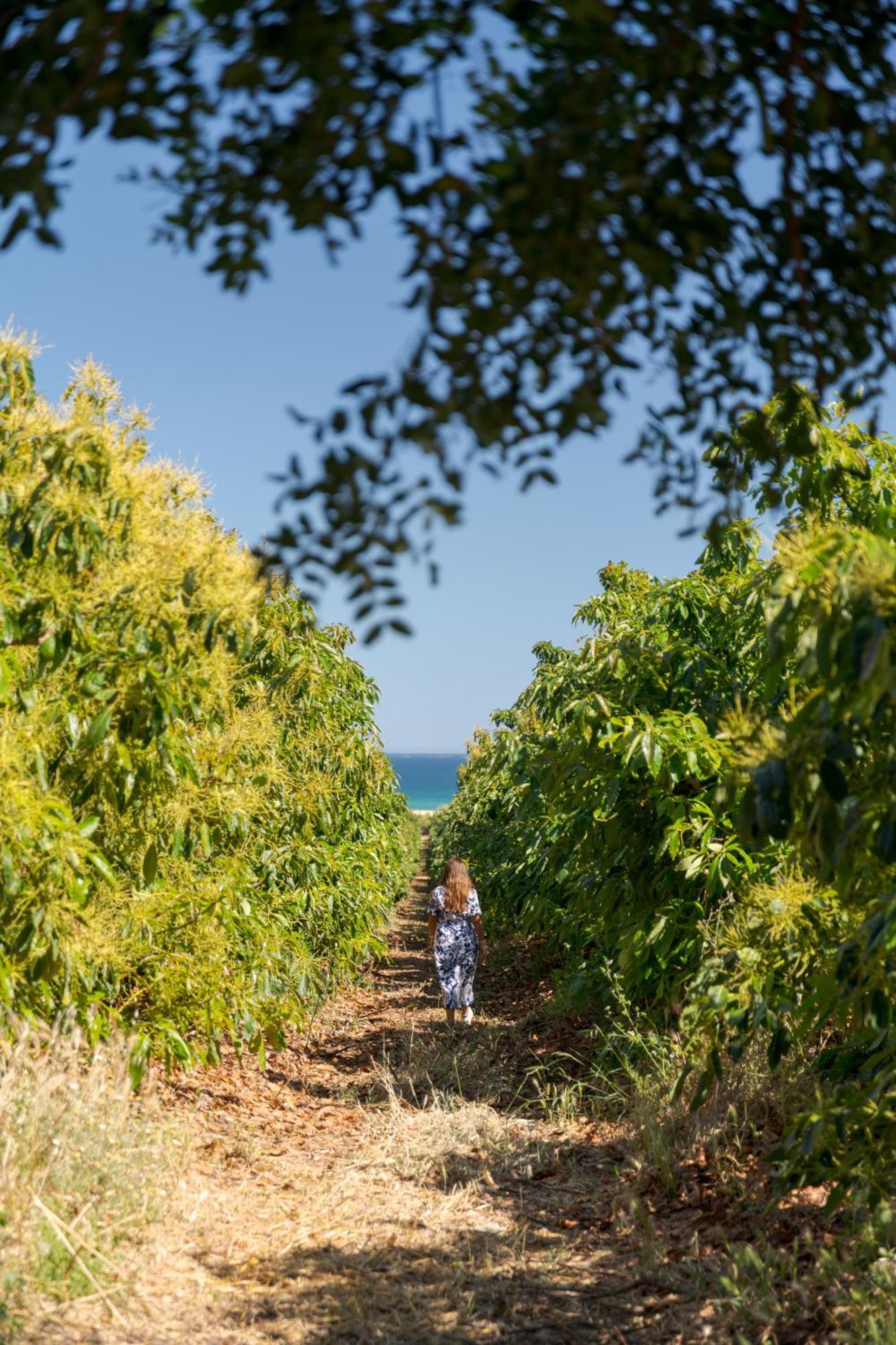 Casas Da Quinta De Cima Holiday home *