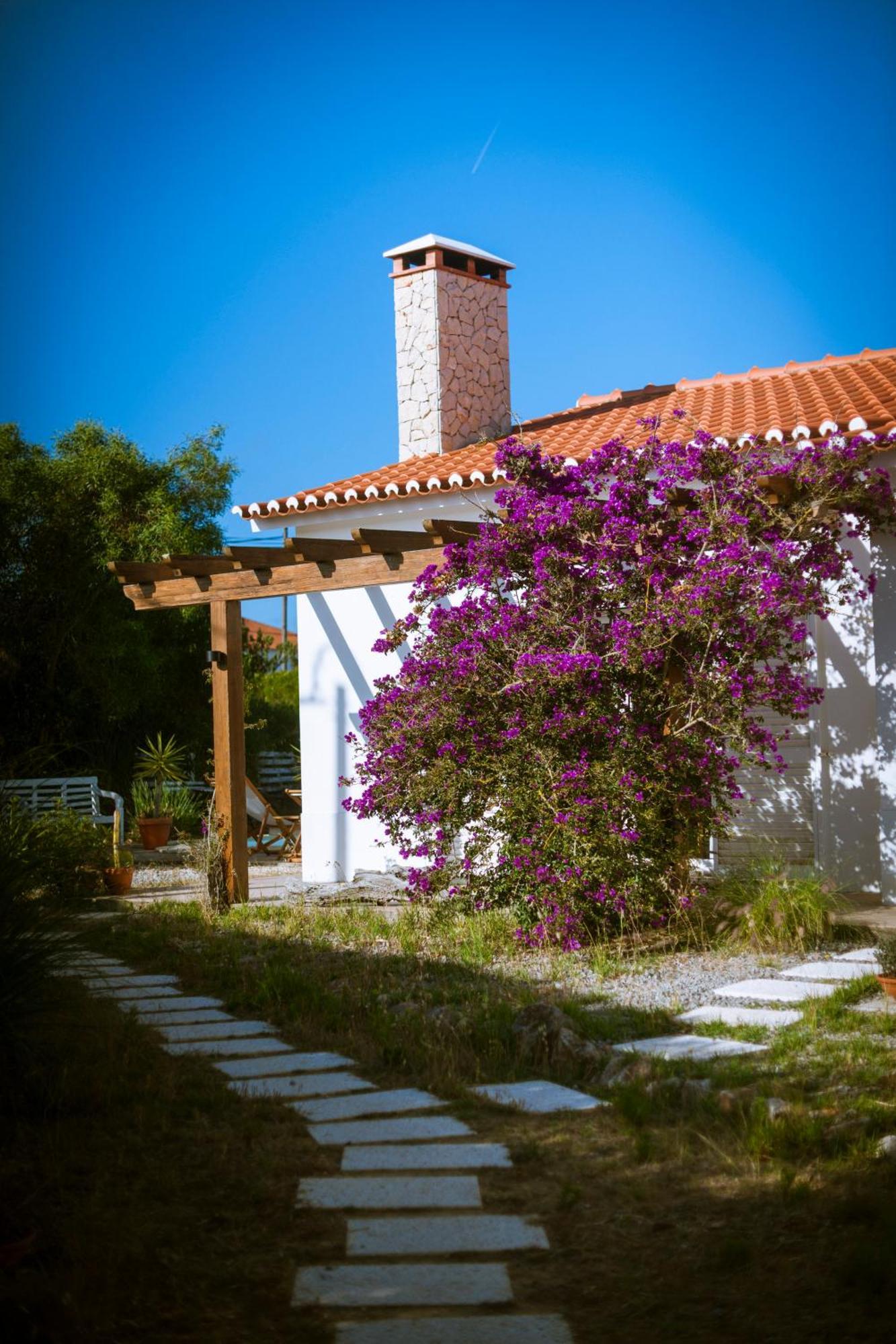 Gasthuis Endless Summer Surf House *