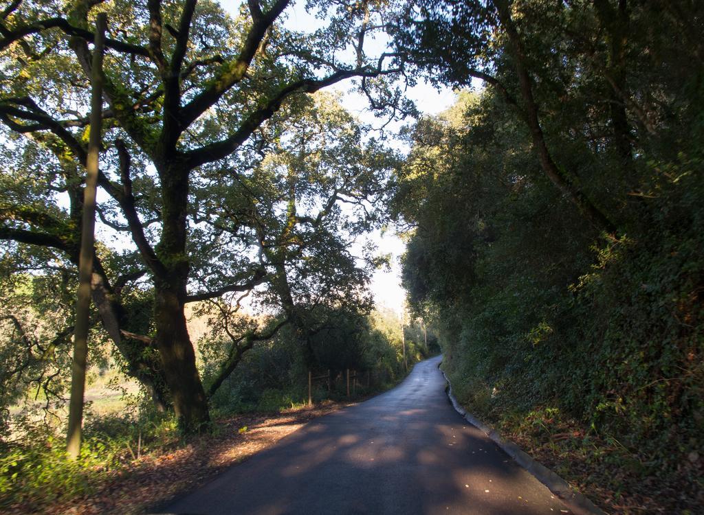 Guest house Quinta De Sao Tadeu 4*