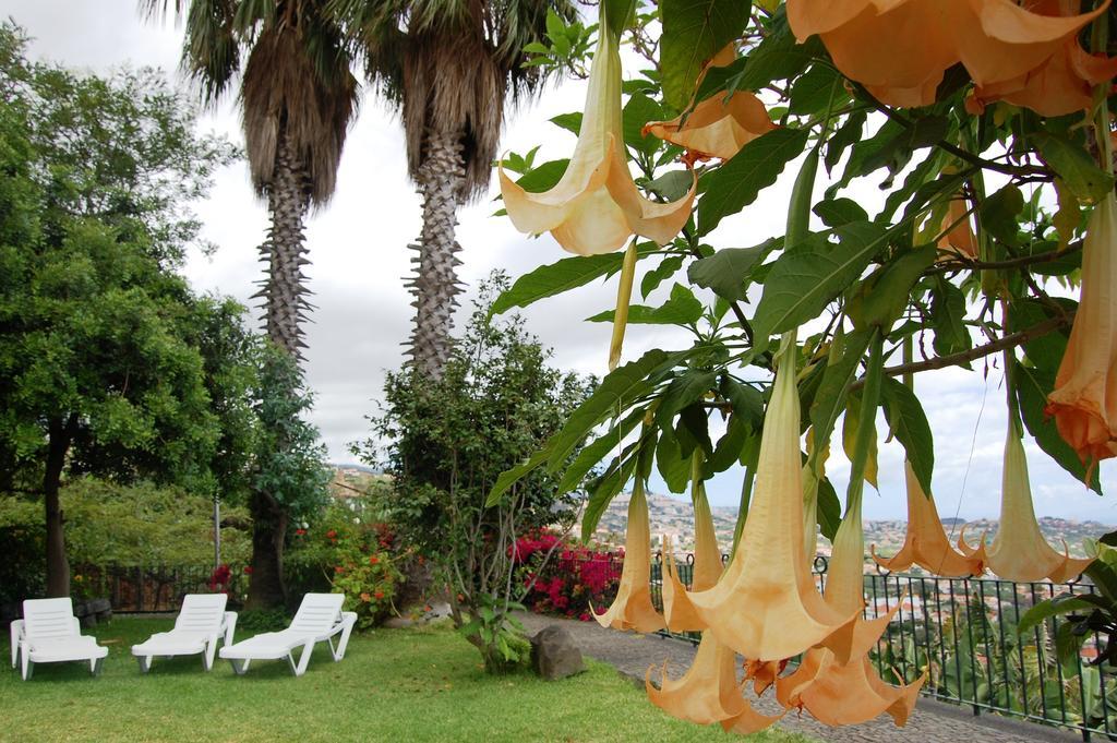 Afonso Camara de Lobos