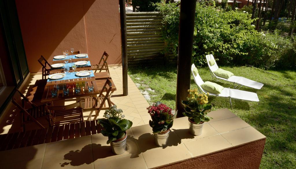 Exciting * Charneca (Setubal)