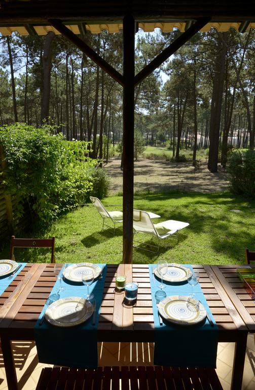 Exciting Charneca (Setubal)