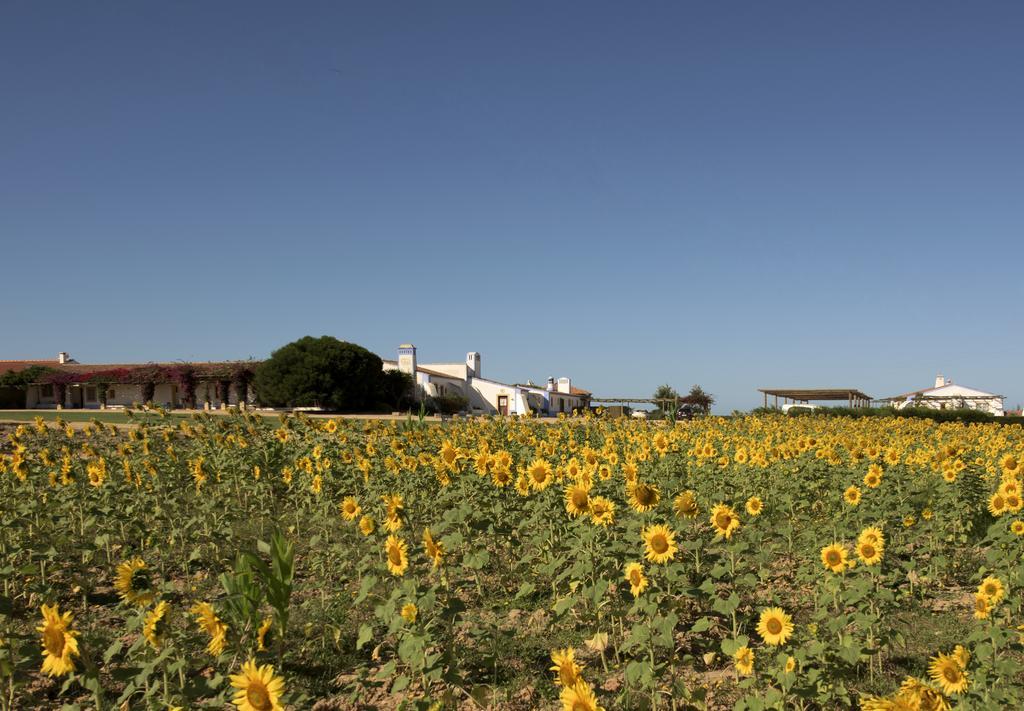 Country house Herdade Do Touril Zambujeira do Mar