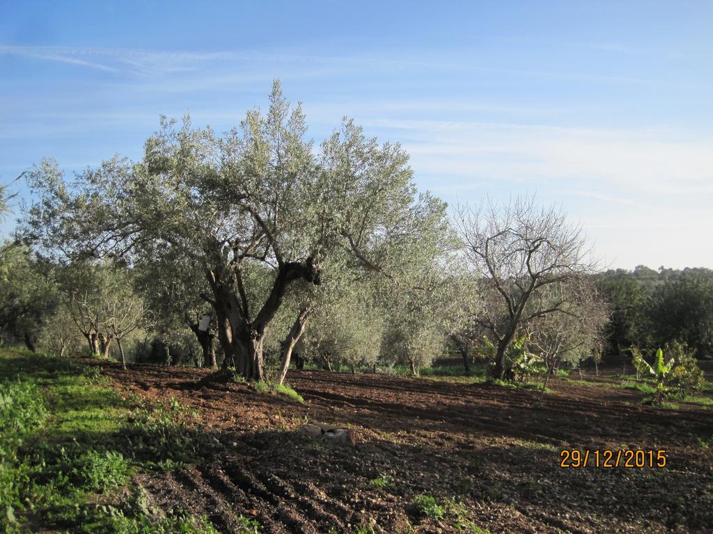 Holiday home Quinta Do Monte Em Moncarapacho