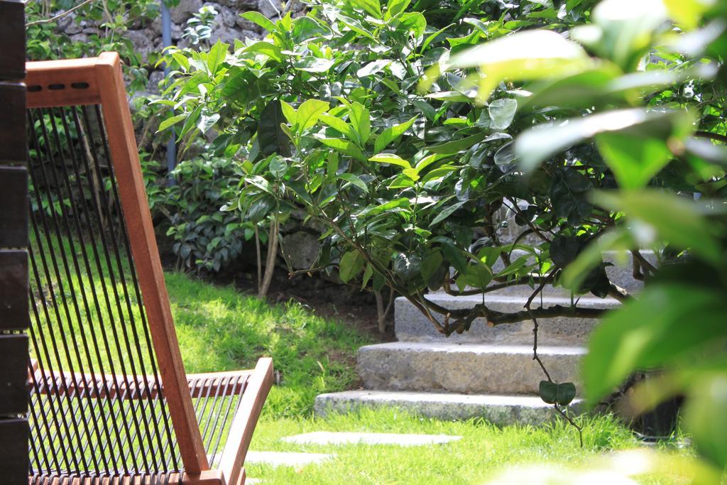 Quinta Rosas Villa Ribeira Grande