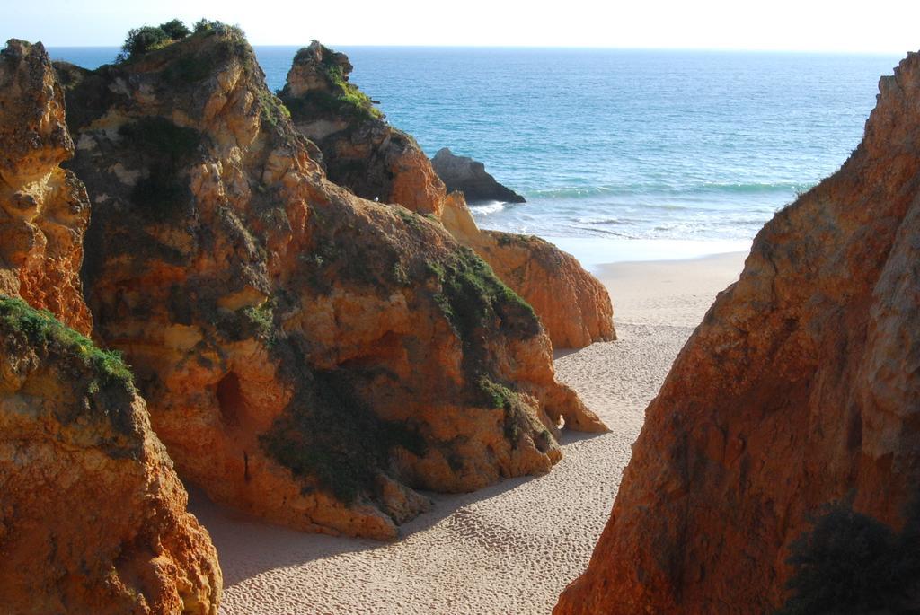 The Birds Nest * Alvor