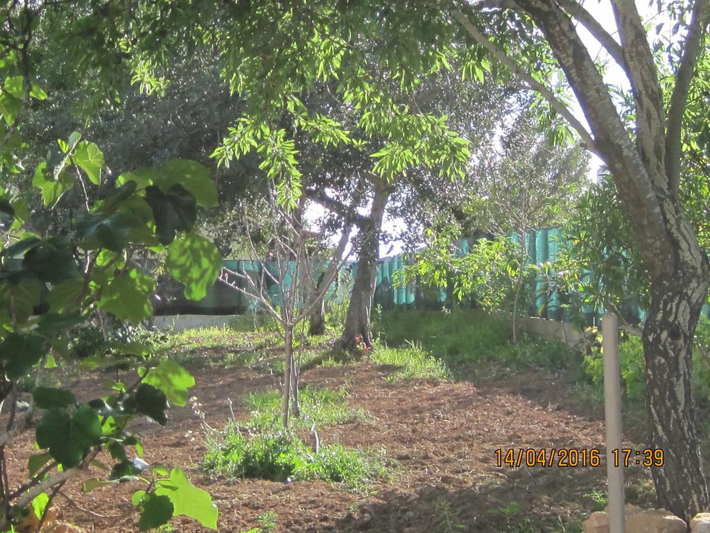 Guest house Quinta Da Fonte Em *