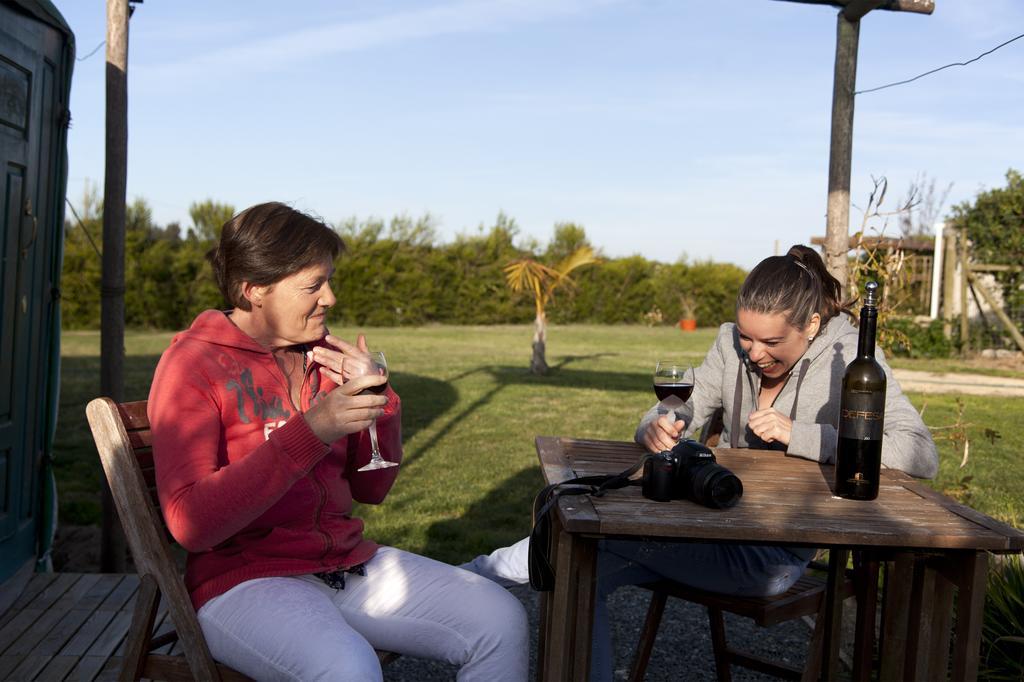 Quintal Yurts