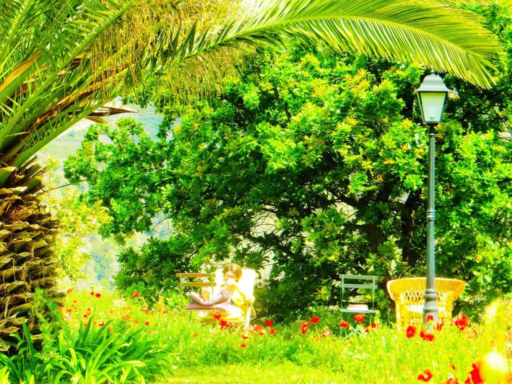 Quinta Do Cabouco * Ribeira Brava