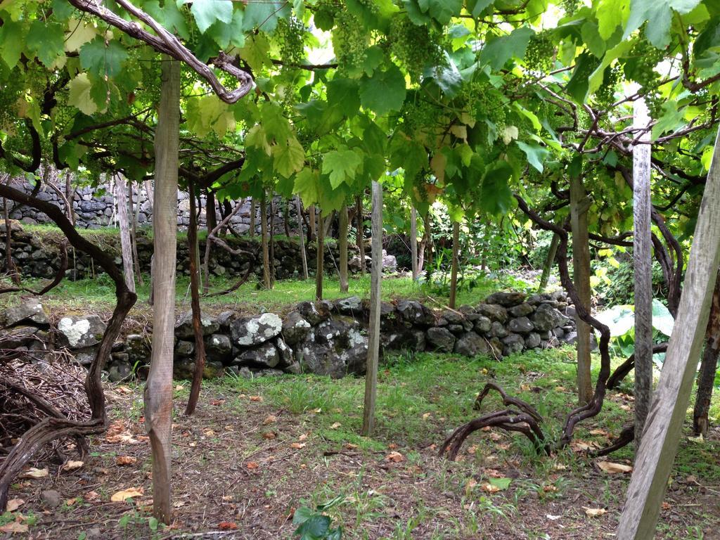 Holidays Madeira Guest house