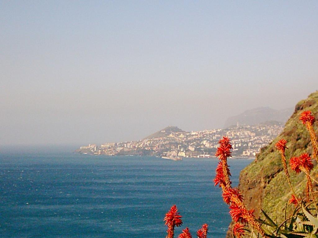 Apartment Palma Madeira Wandern Und Tauchen *