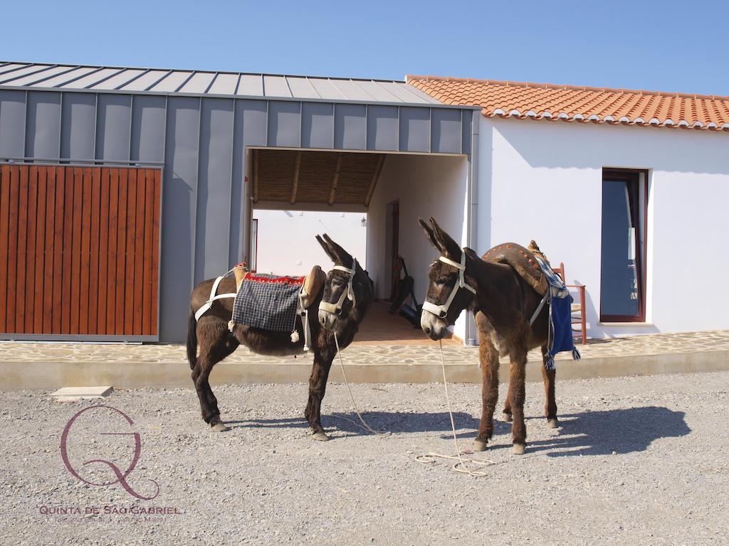 Farm stay Quinta De Sao Gabriel Castro Marim