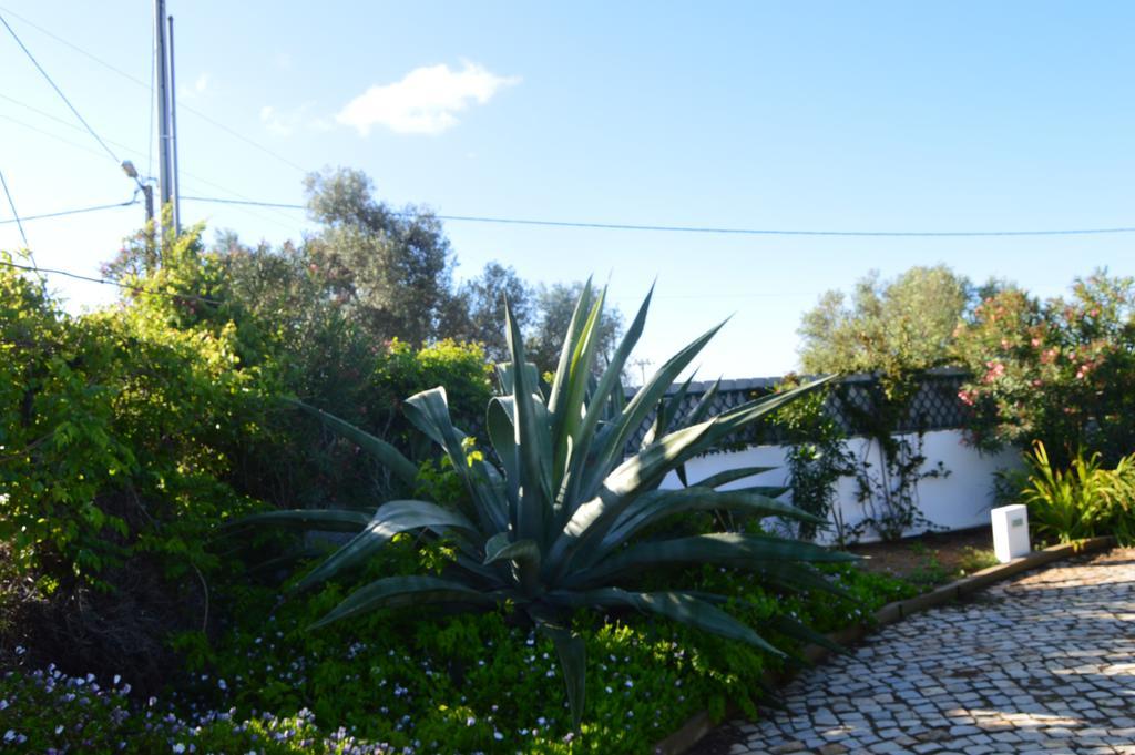 Vacations Tavira