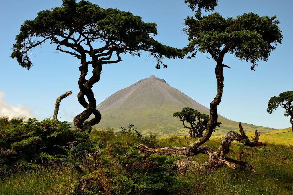Bed & Breakfast Calma Do Mar Madalena (Azores)