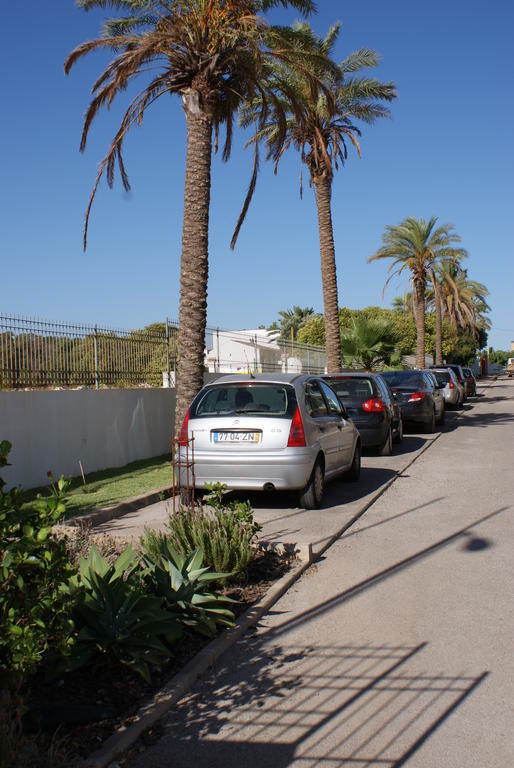 Apartment Alojamento Santa Maria
