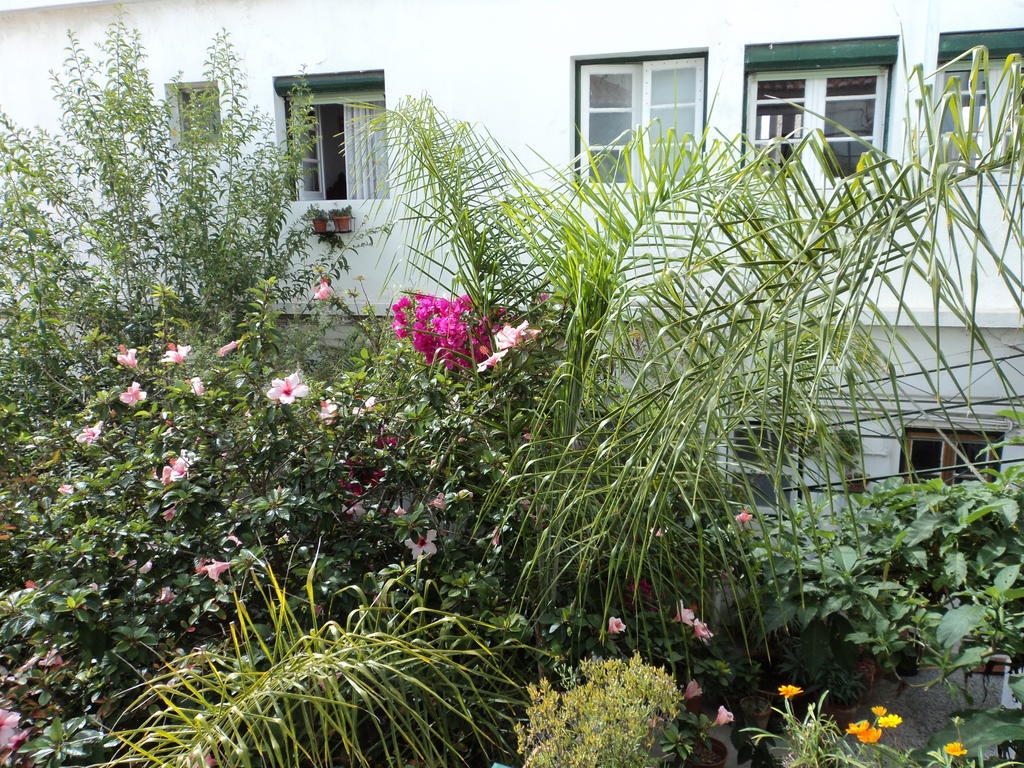 Guest house Residencial Carvalho