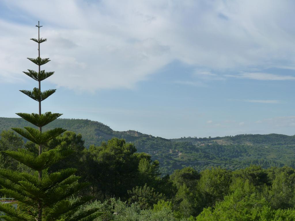 Country house Casal Oliveiras Setubal