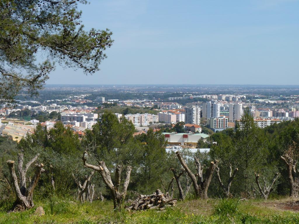 Casal Oliveiras Setubal