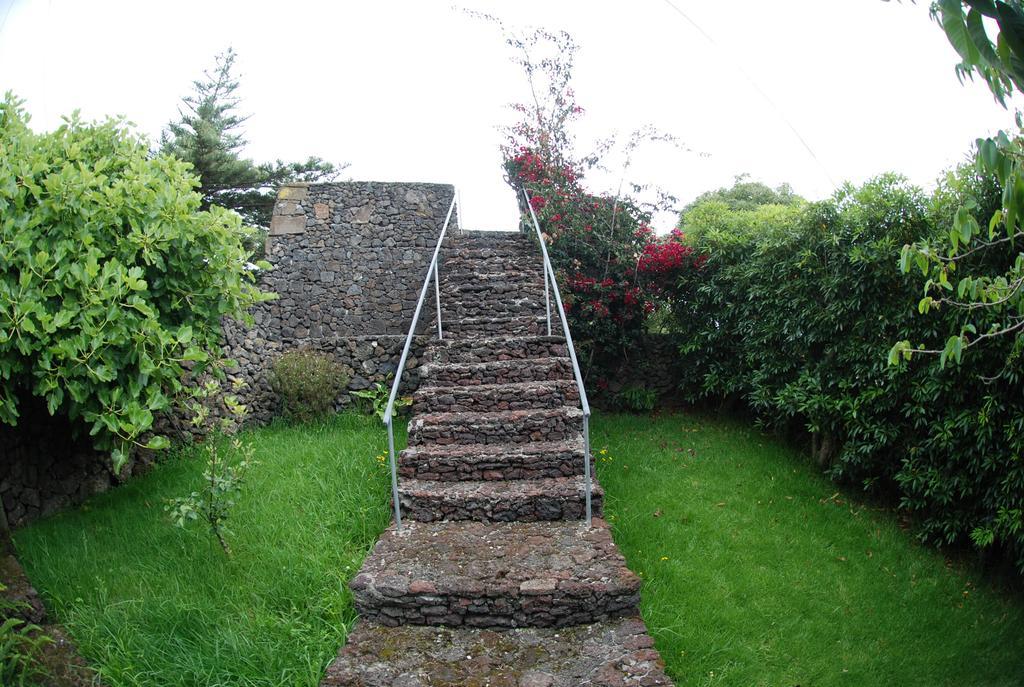 Farm stay Quinta Dos Figos 
