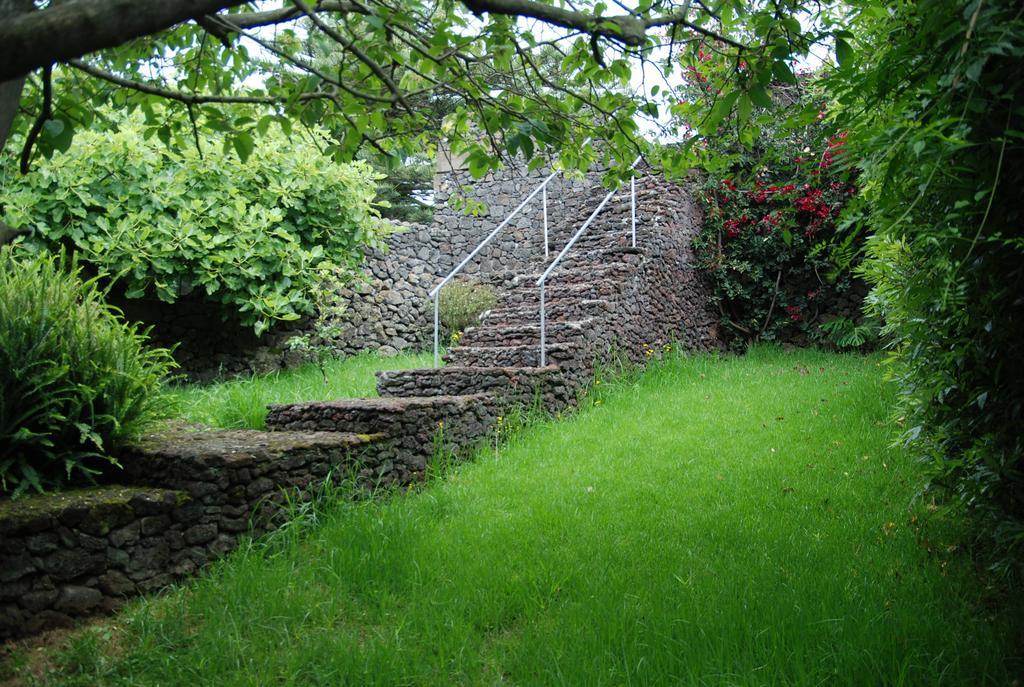 Farm stay Quinta Dos Figos 