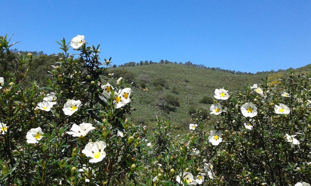 Monte Da Vilarinha