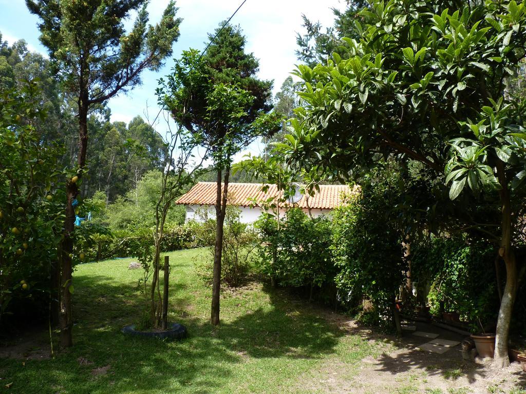 Holiday home Casa Da Azenha Branca Castelo Do Neiva