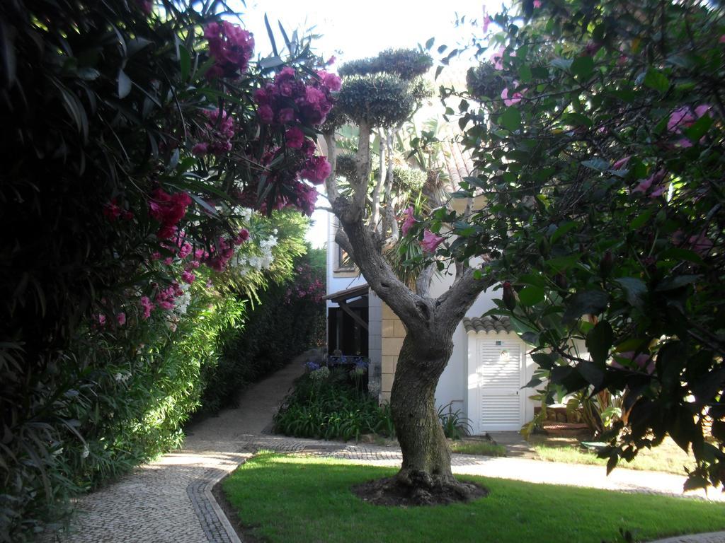Holiday park Luzmar Praia Da Luz