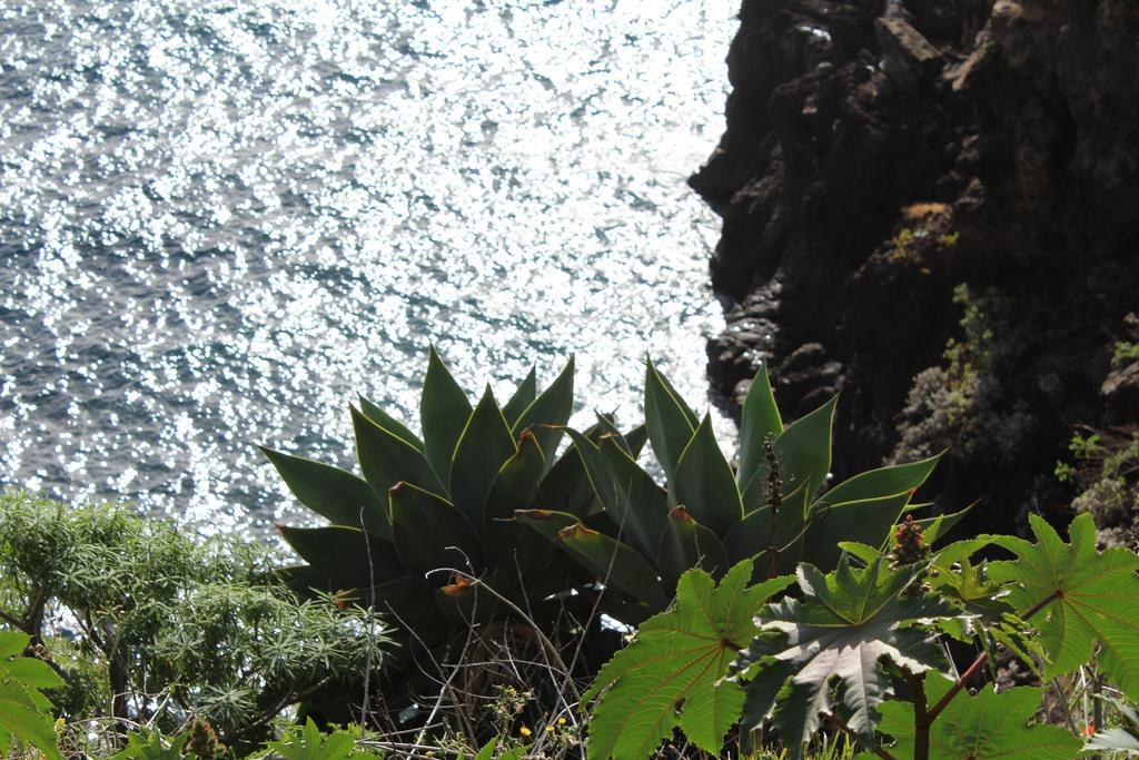 Chuva De Prata Canico (Madeira)