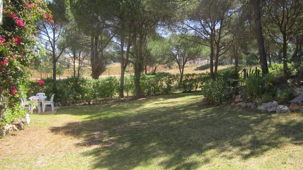 Villa Casa Camelia