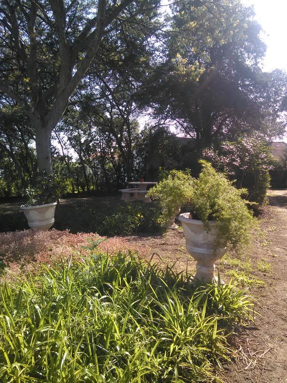 Vakantiehuis Nature