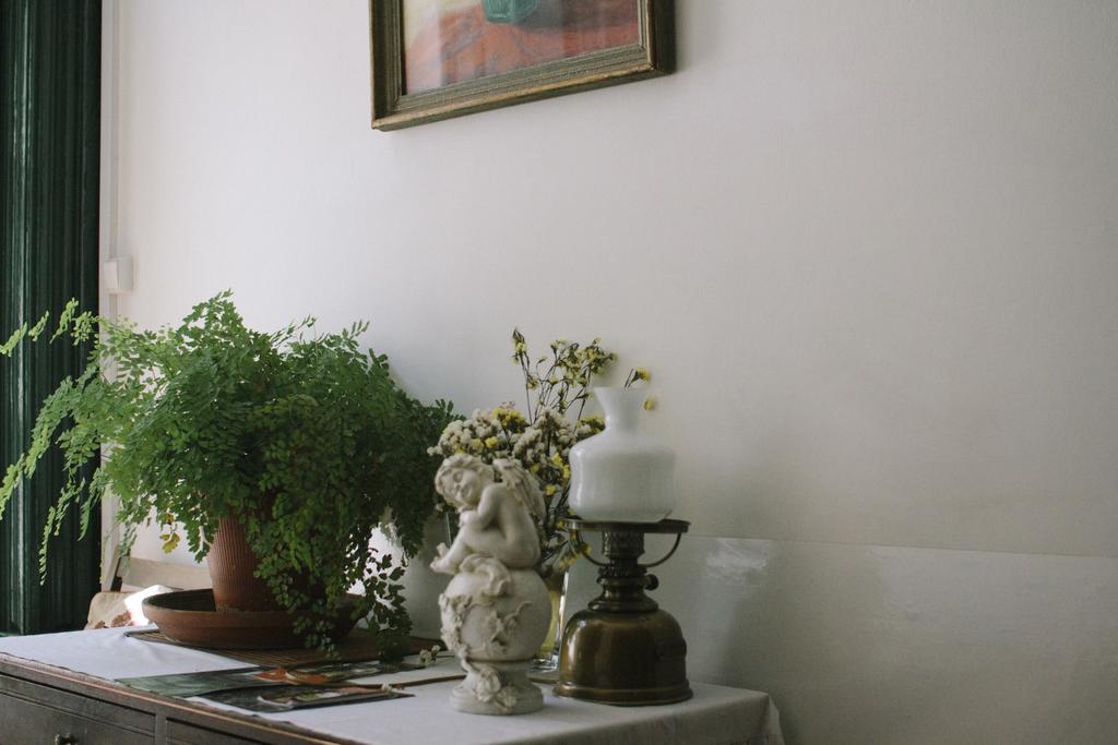 Guest house Pensao Flor De