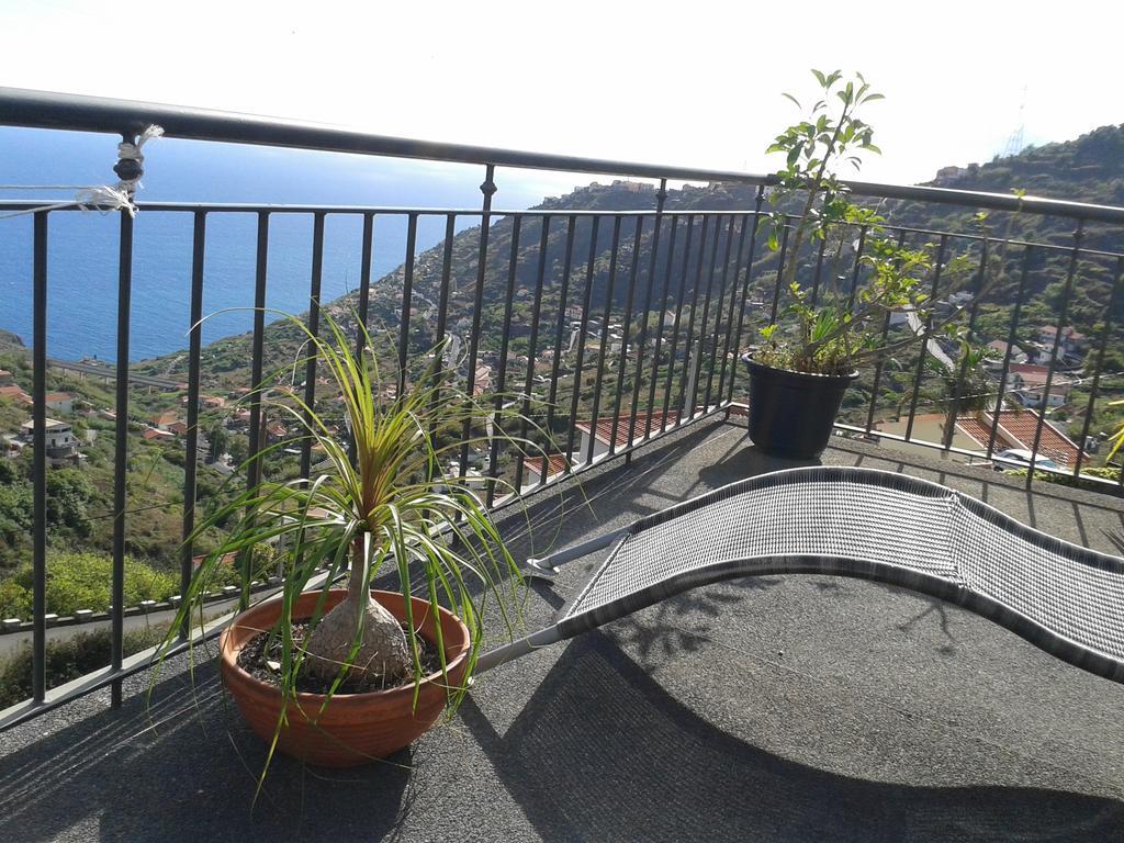 Madeira Liliana Campanário