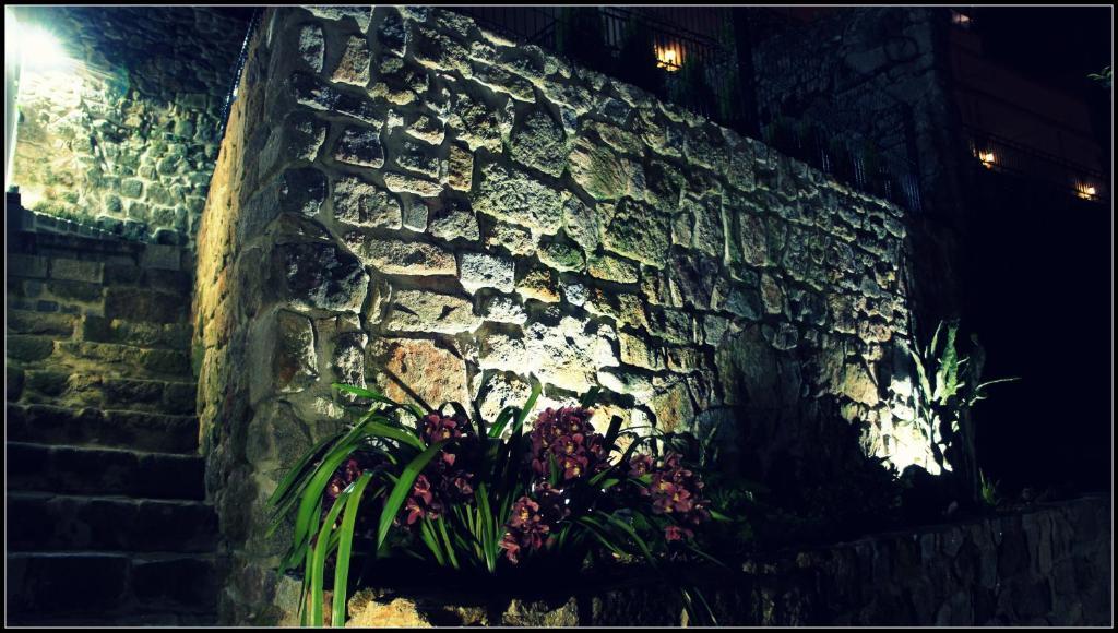 Gaia Porto *