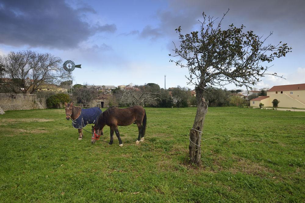 Quinta Do Scoto 4* Sintra