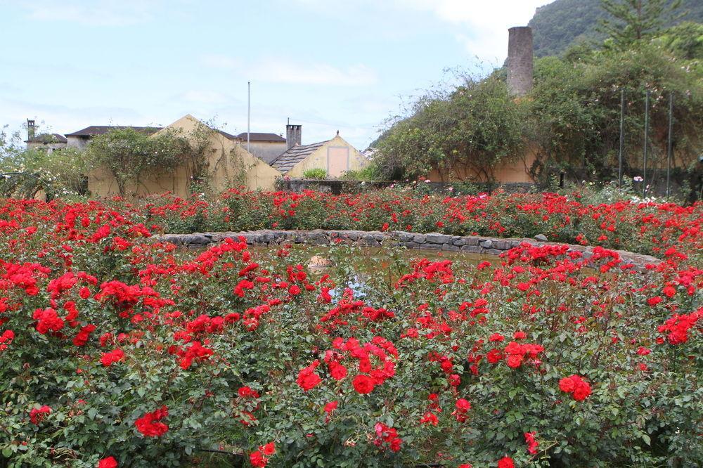 Pestana Quinta Do Arco Nature & Rose Garden Holiday park