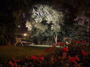Quinta Das Acacias Guest Houses Hotel Ponta Delgada (Madeira)